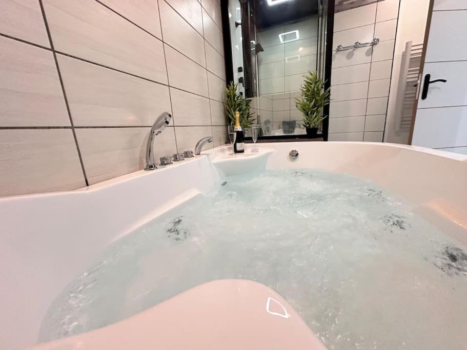E Servagnat T3 Luxe Avec Sauna Jacuzzi Et Hammam Epernay Bagian luar foto